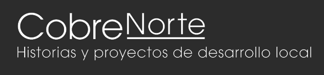 LOGO Cobrenorte